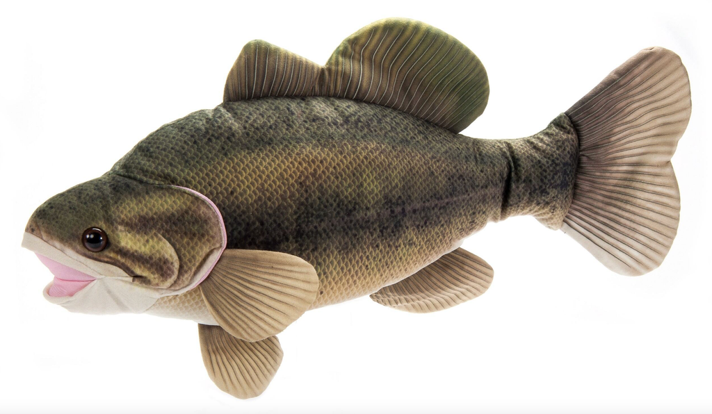 River Fish Large Mouth Bass Medium 22" (56cm)