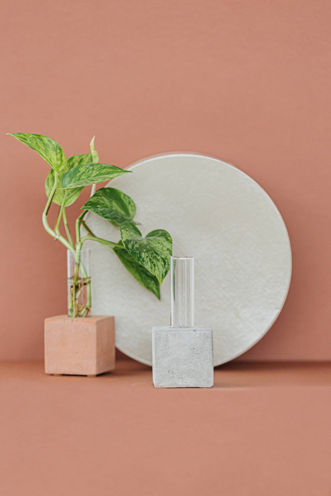 Propagation Vase | Cutting Holder and Propagation Station - Green