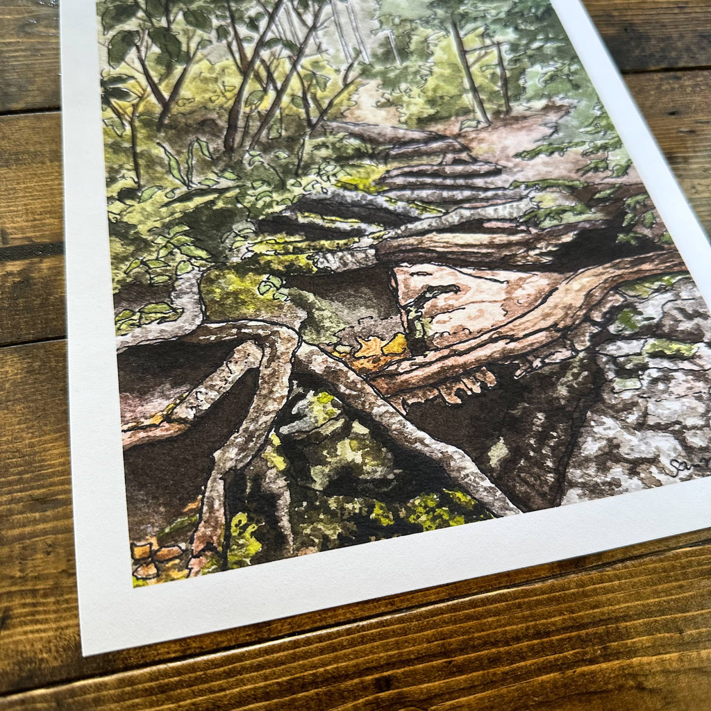 Through the Woods Art Print - 11x14