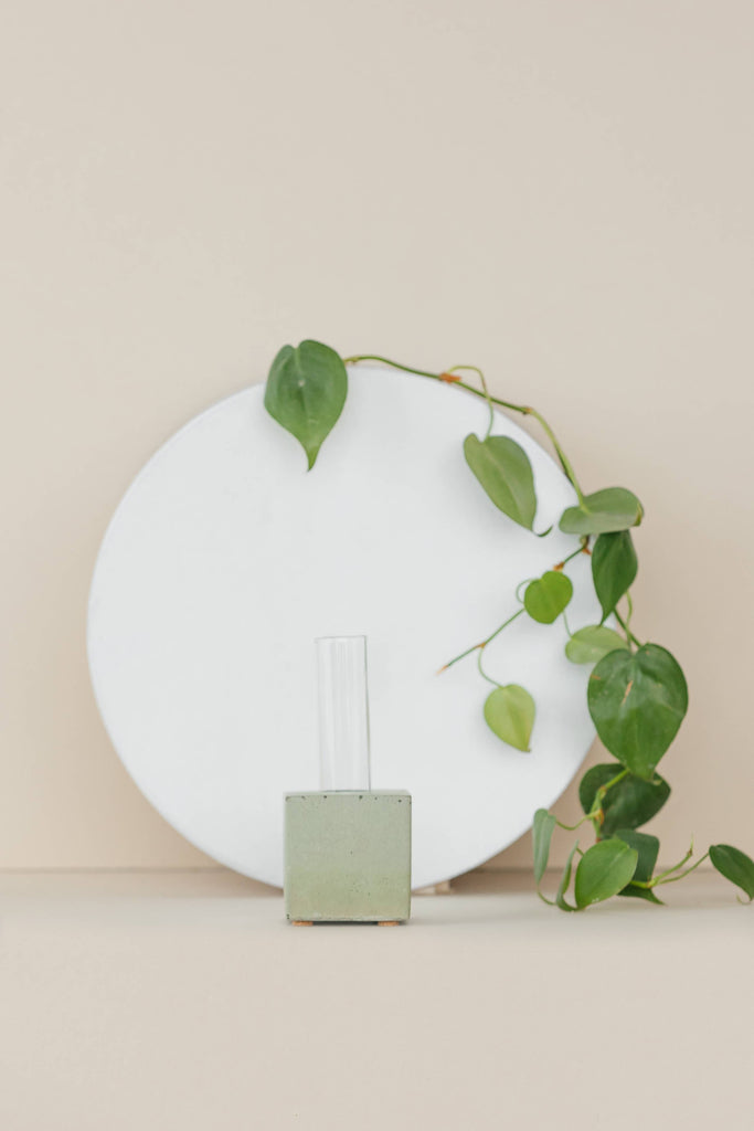 Propagation Vase | Cutting Holder and Propagation Station - Green