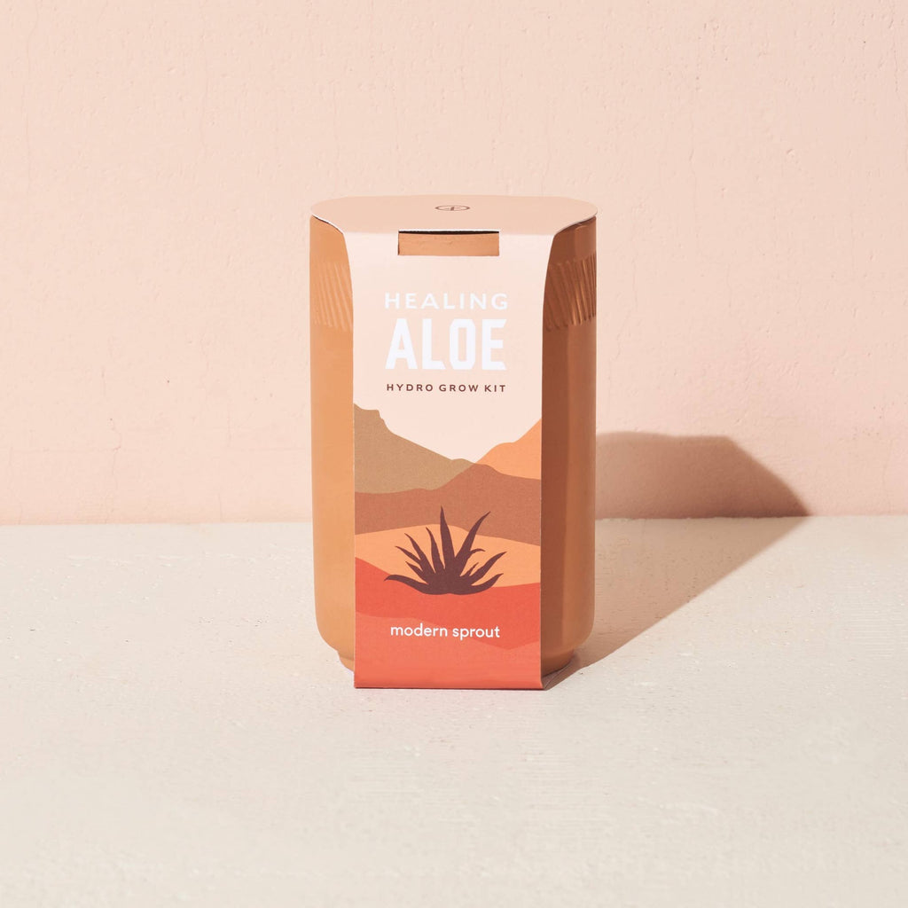 Terracotta Kit - Aloe