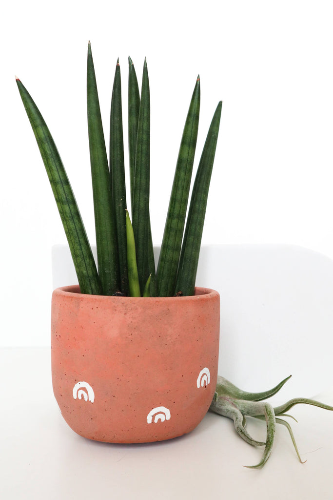 Concrete Planter with Arches - 3" | terra-cotta