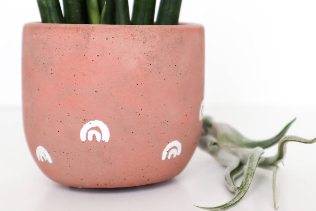 Concrete Planter with Arches - 3" | terra-cotta
