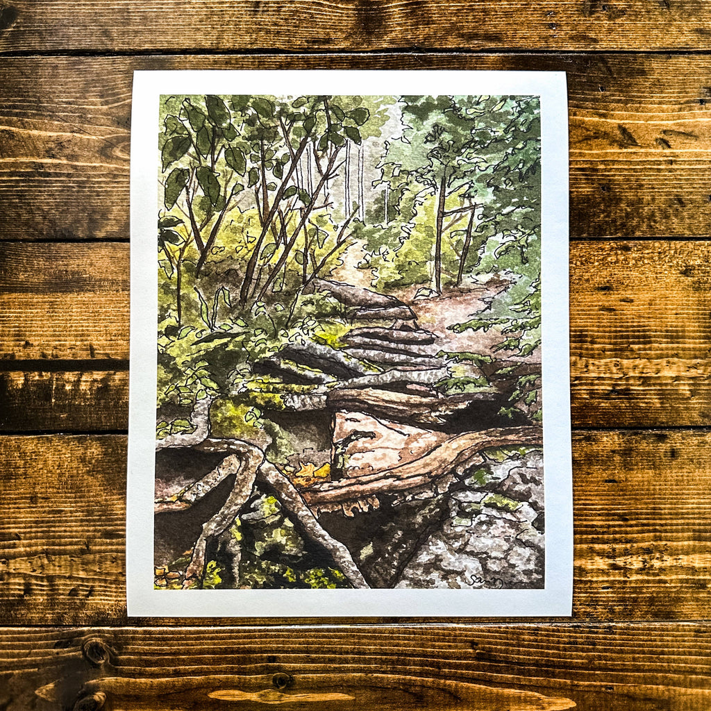 Through the Woods Art Print - 8x10