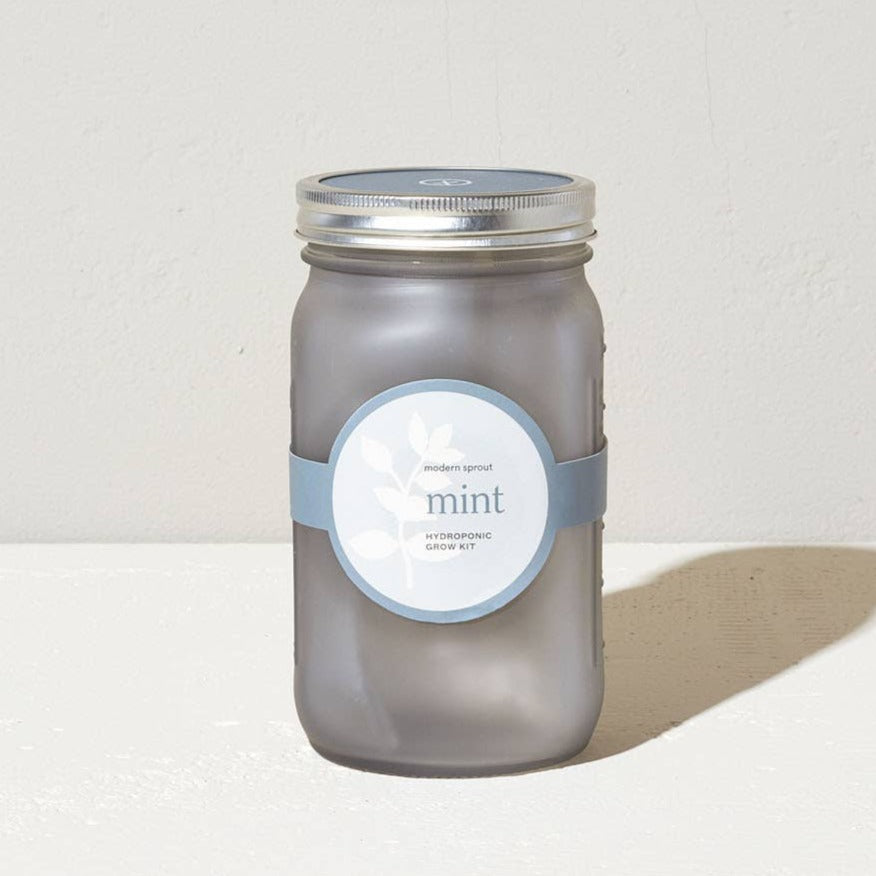 Modern Sprout - Garden Jar - Mint