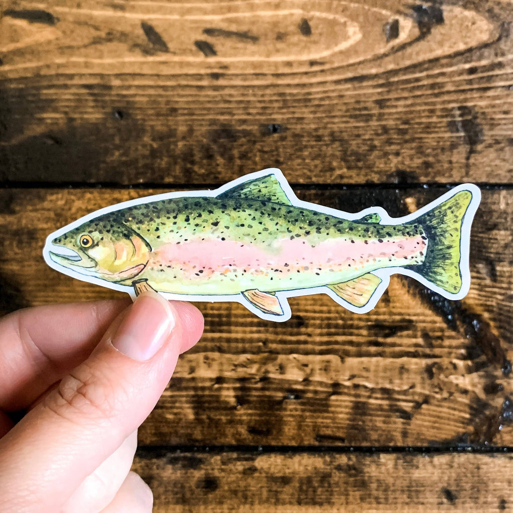 Art by Sj Nielsen - Rainbow Trout Vinyl Sticker