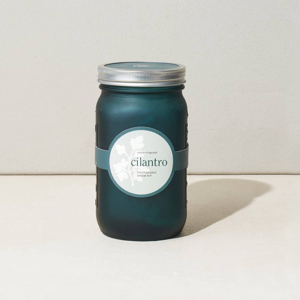 Modern Sprout - Garden Jar - Cilantro