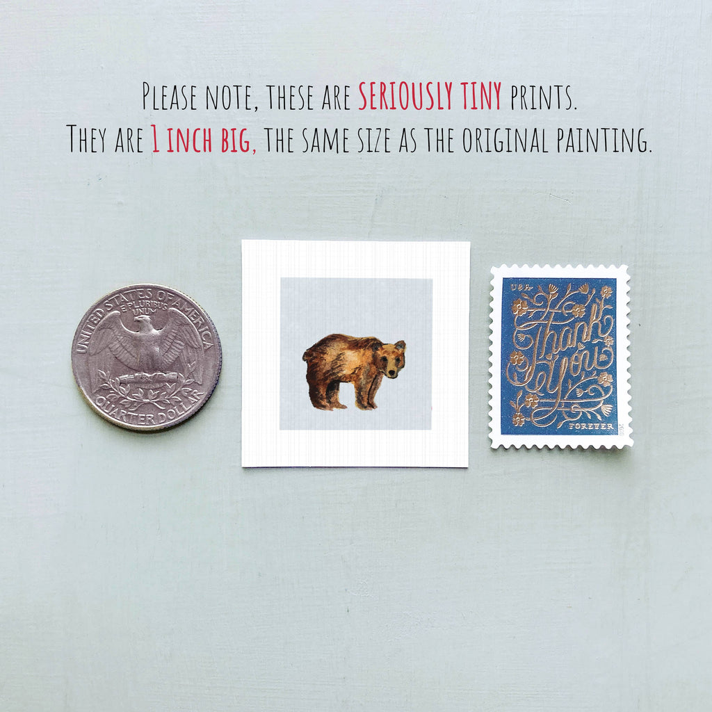 Bear Mini Art Print - 1.5"-2.5" Framed  - Wooden Wall Frame