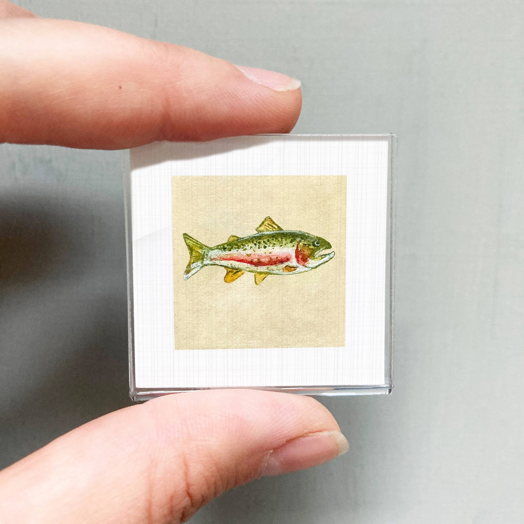 Rainbow Trout Mini Art Print - 1.5"-2.5" Framed - Wooden Wall Frame