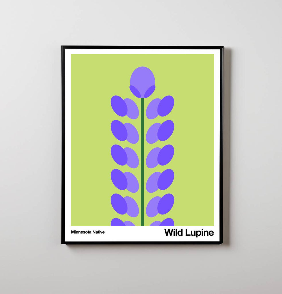 Wild Lupine | Art Print | Minnesota Native Plant