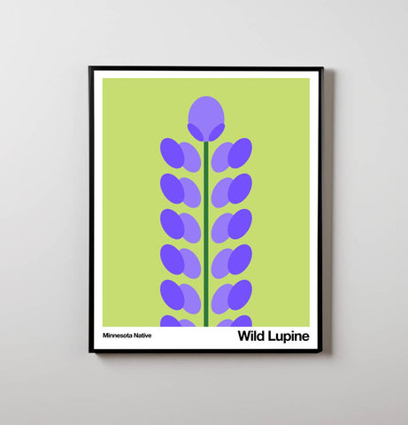 Wild Lupine | Art Print | Minnesota Native Plant