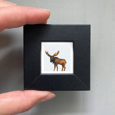 Moose Mini Art Print - 1.5"-2.5" Framed  - Black Frame