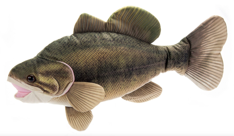 River Fish Large Mouth Bass Medium 22" (56cm)