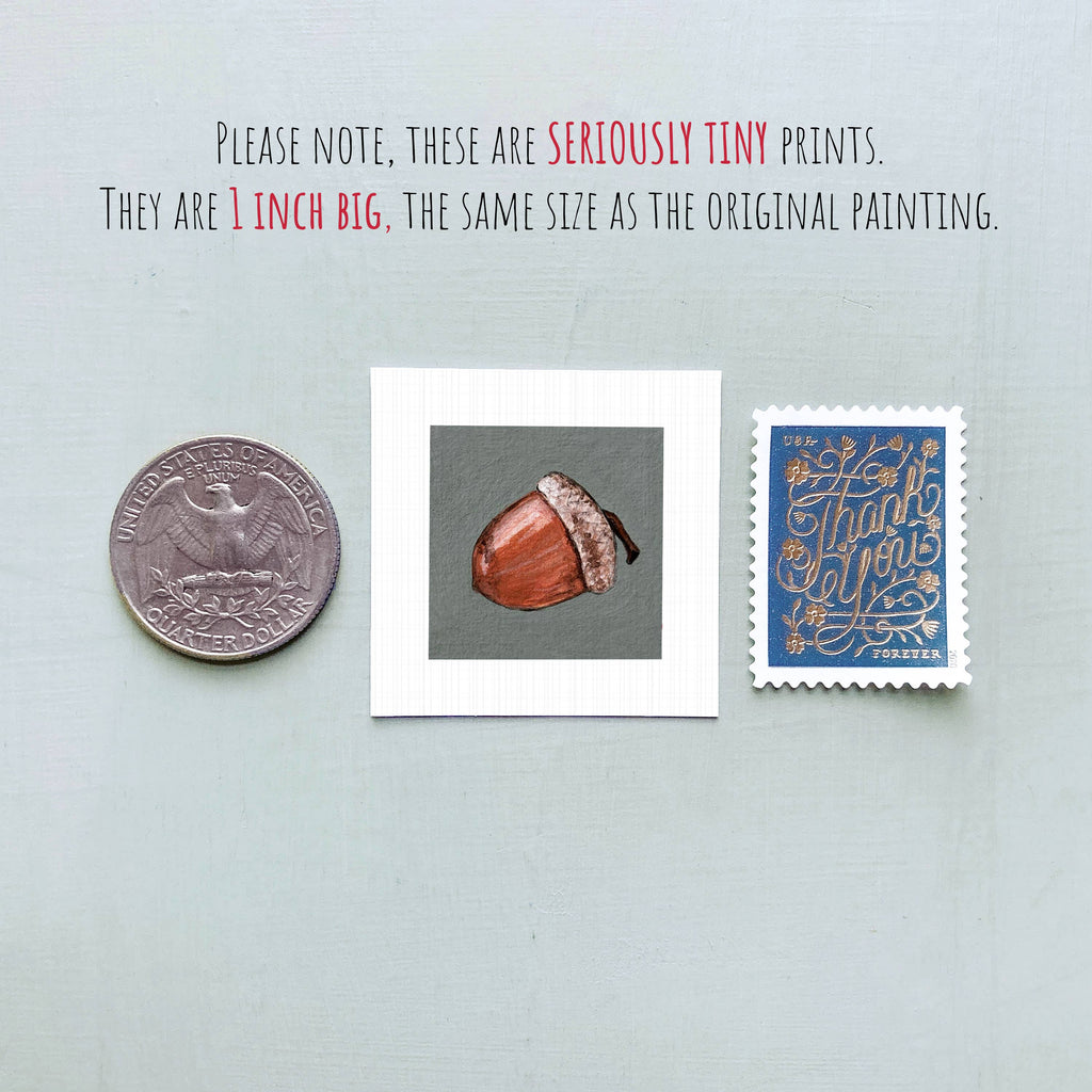 Acorn Mini Art Print - 1.5"-2.5" Framed  - Wooden Wall Frame