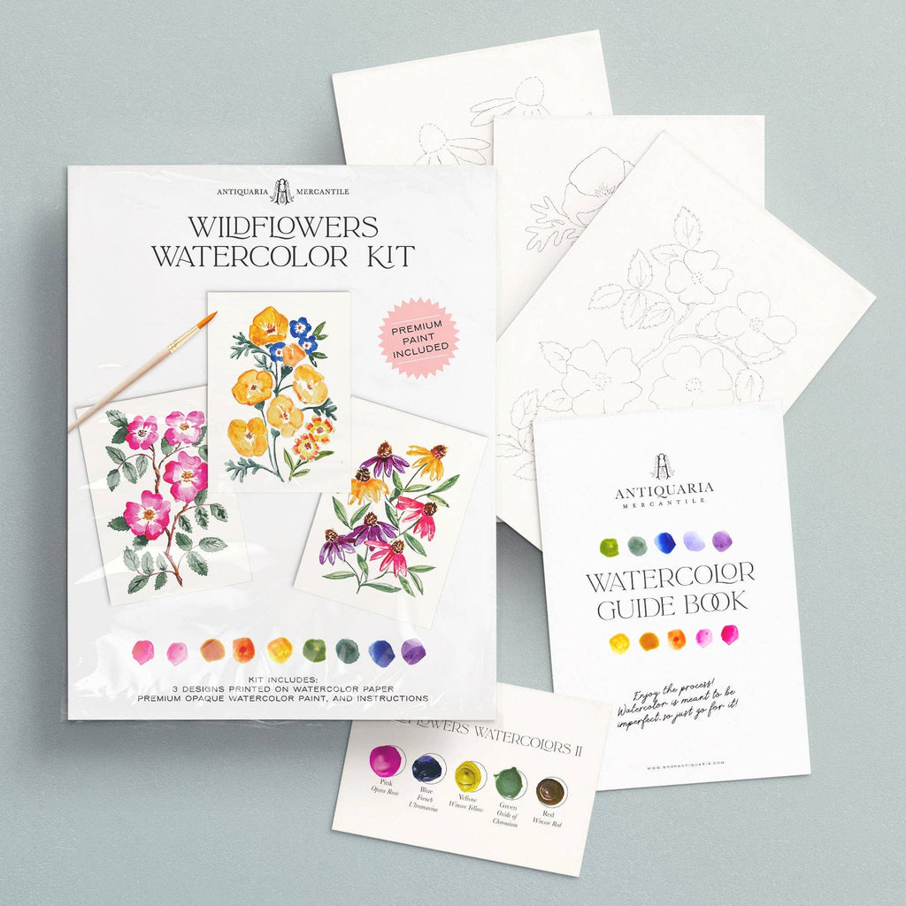 Watercolor Painting Kit : Wildflowers No1