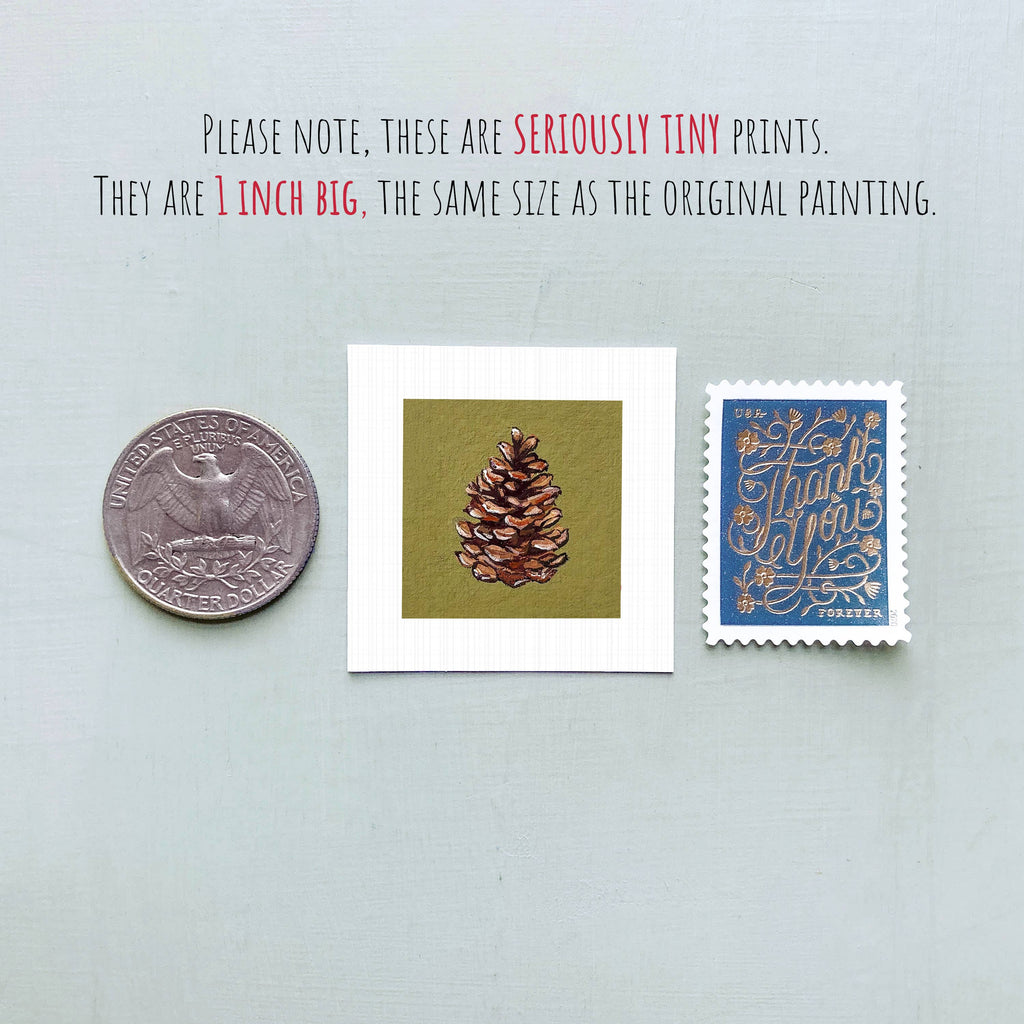 Pine Cone Mini Art Print - 1.5"-2.5" Framed  - Wooden Wall Frame