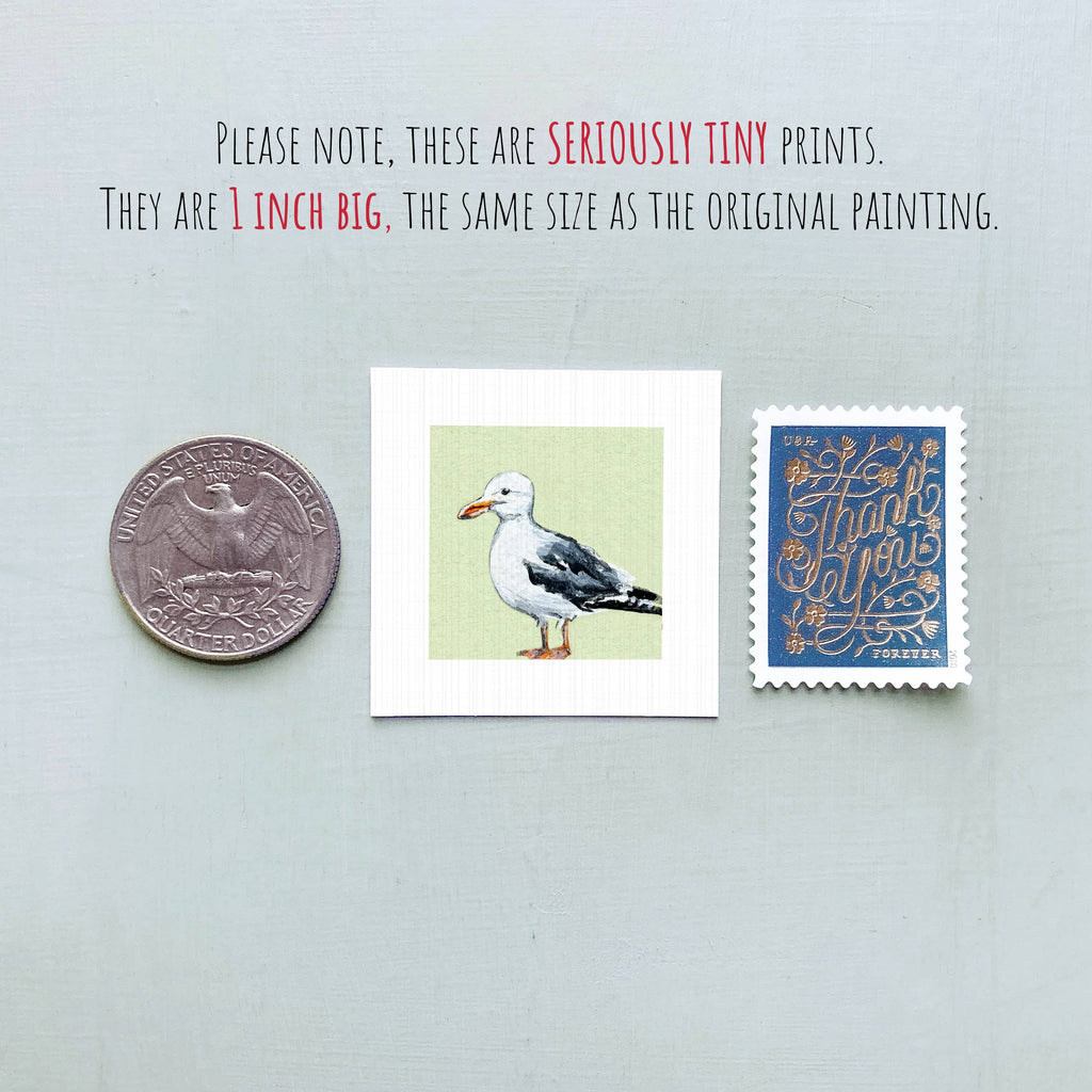 Seagull Mini Art Print - 1.5"-2.5" Framed  - White Frame