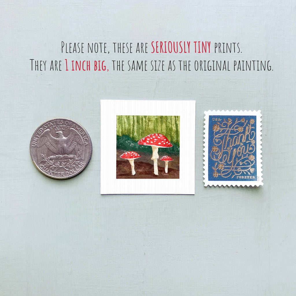 Mushroom Nature Mini Art Print - 1.5"-2.5" Framed - White Frame