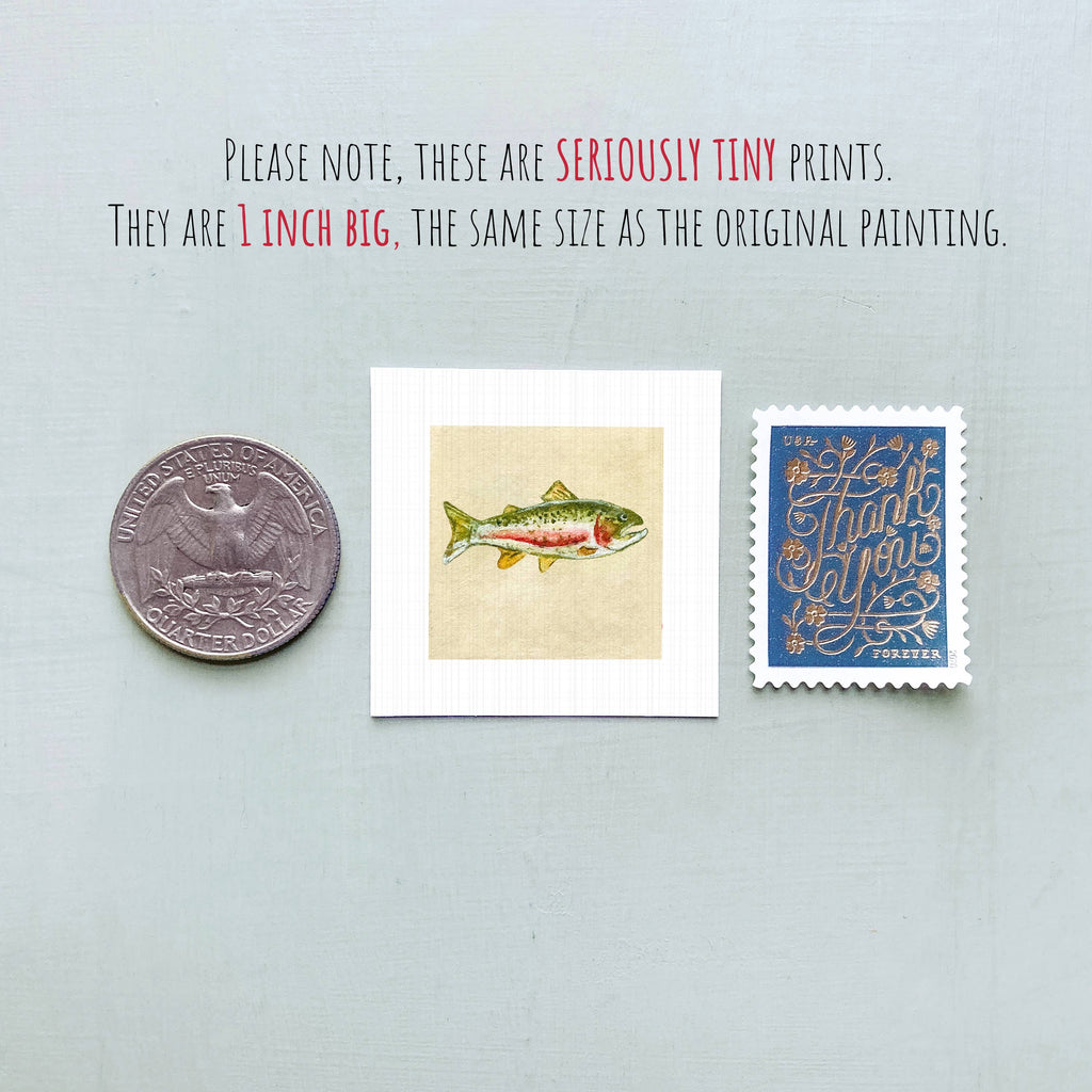 Rainbow Trout Mini Art Print - 1.5"-2.5" Framed - Wooden Wall Frame