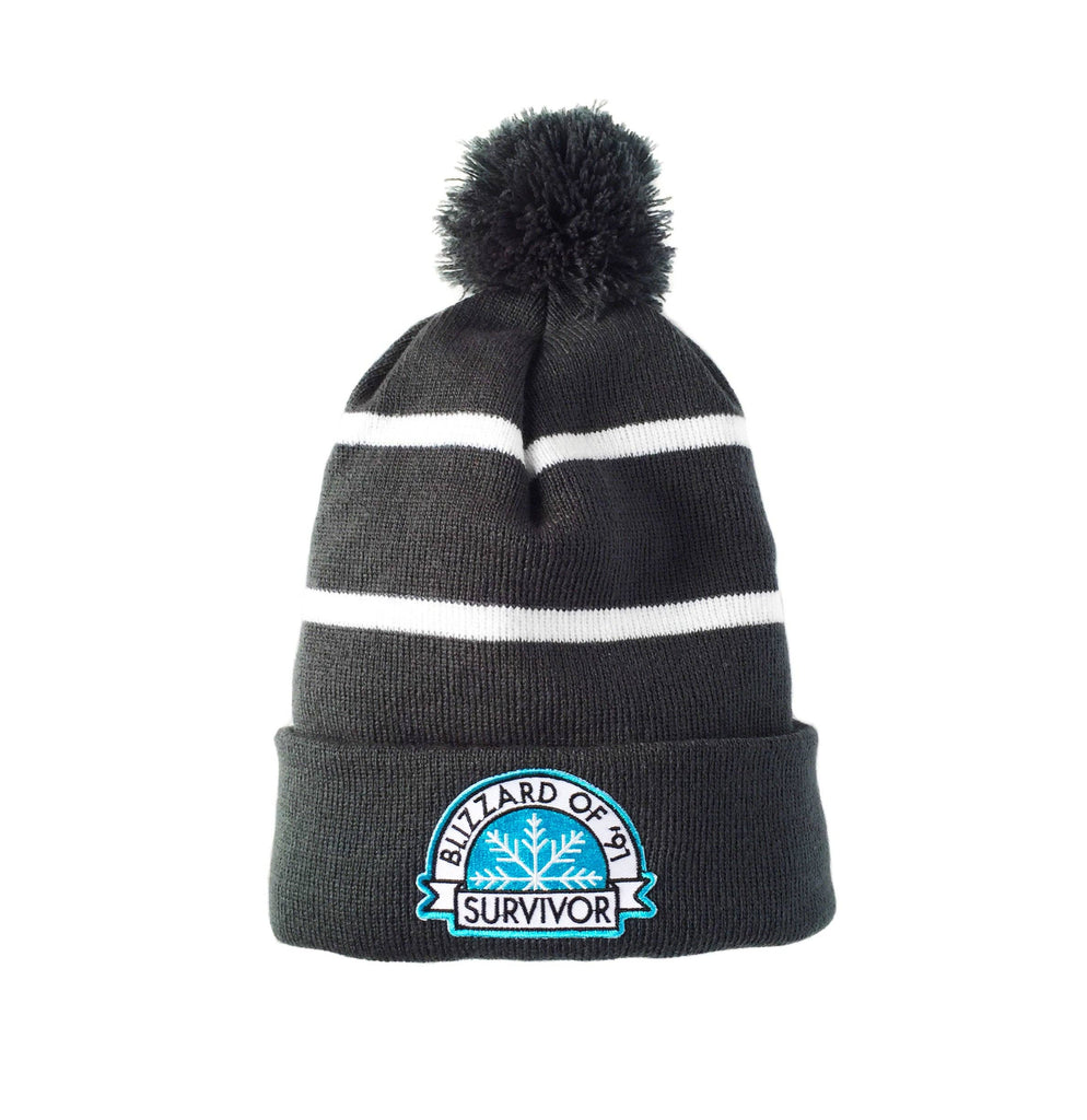 Wild North Co - Blizzard of '91 Winter Hat