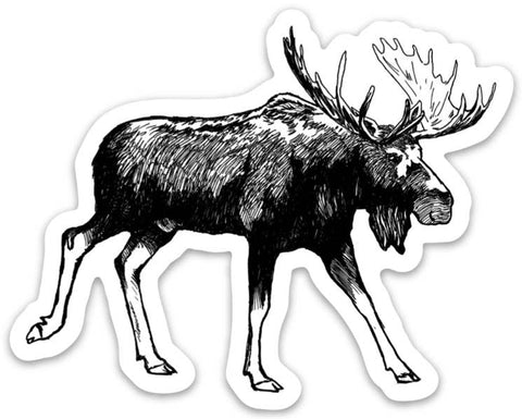Corvidae drawings & designs - Moose Sticker