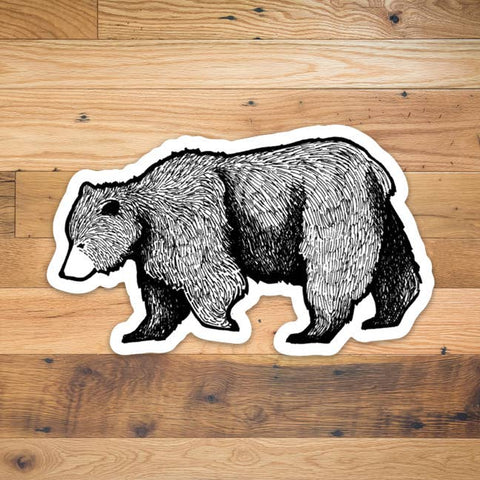 Corvidae drawings & designs - Bear Sticker