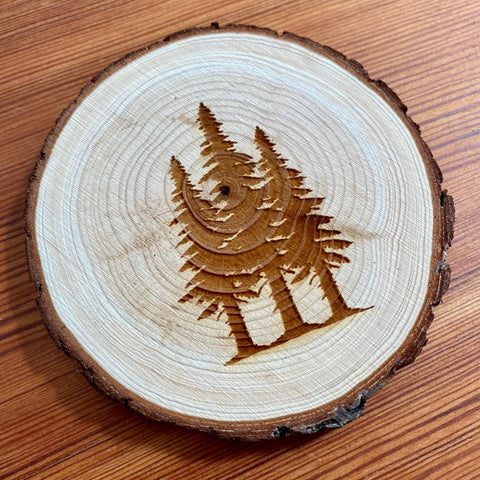Munsell Made - Engraved Wood Pine Tree Coasters