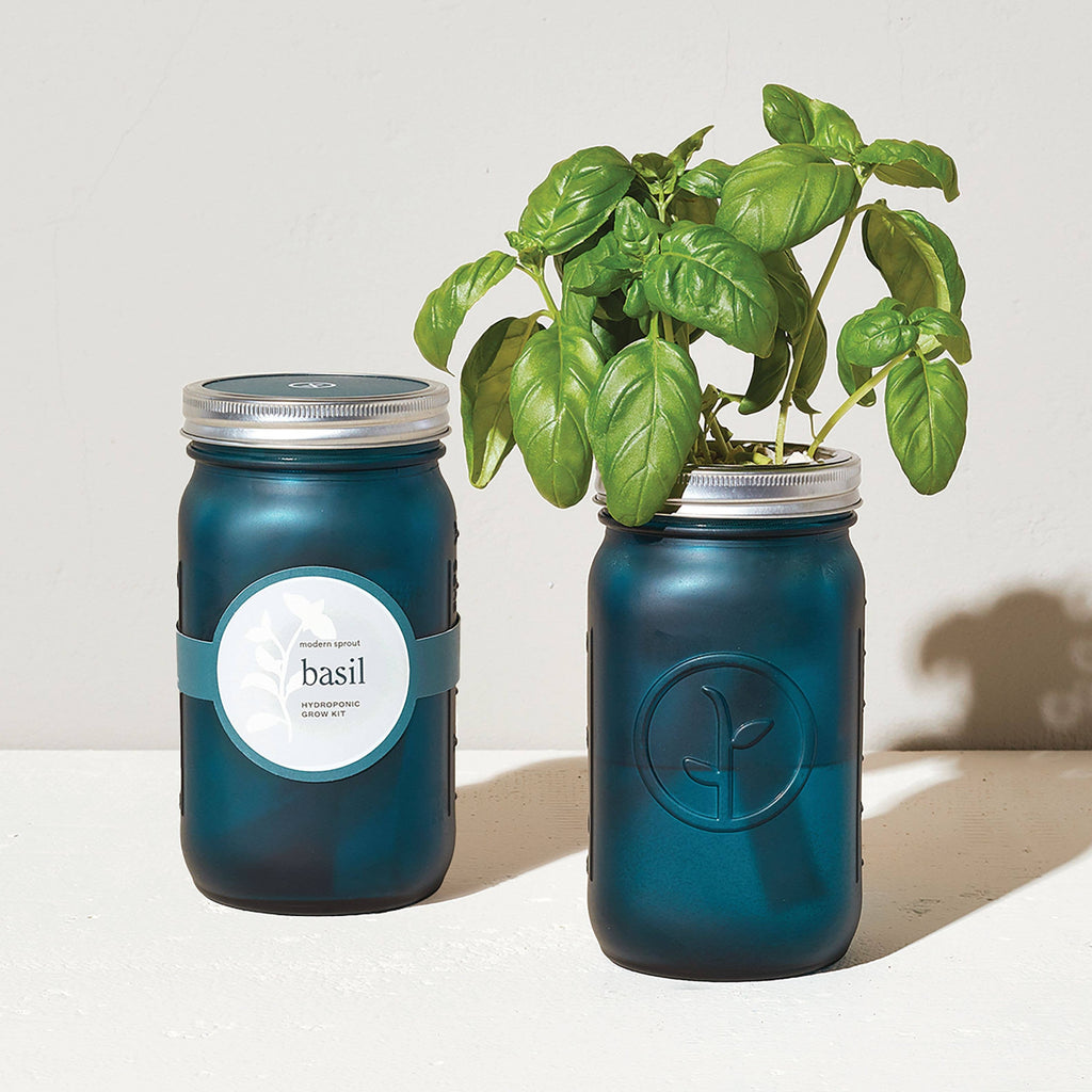 Modern Sprout - Garden Jar - Basil