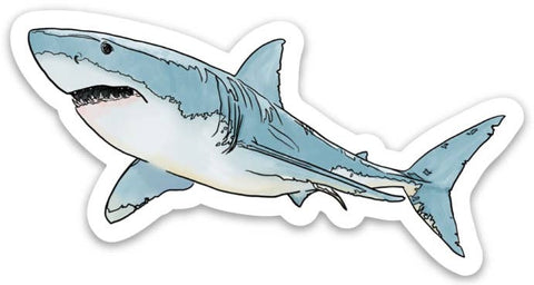 Corvidae drawings & designs - Shark Sticker