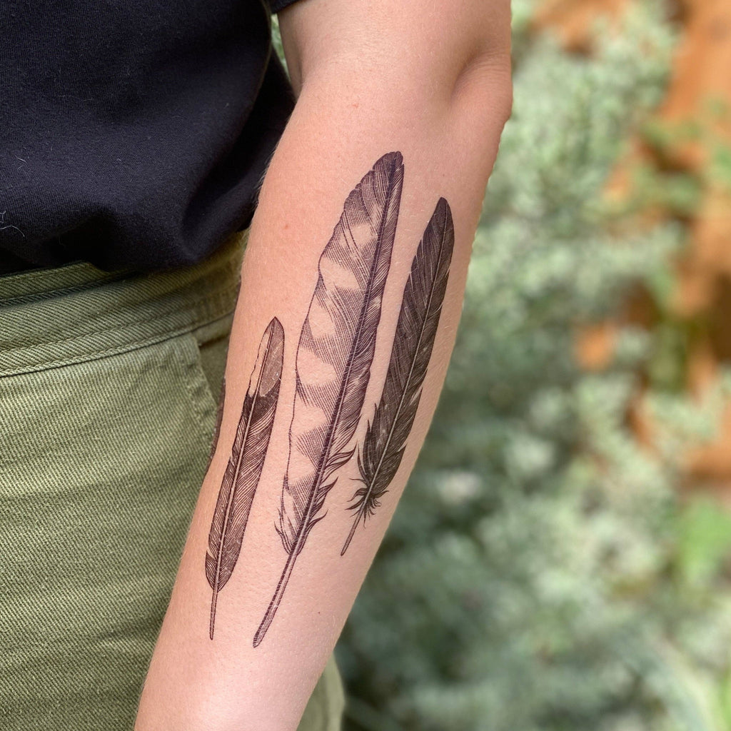 NatureTats - Feather Finds Temporary Tattoo, Hawk Feather, Mocking Bird, Black Bird